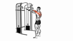 Cable Standing Rear Delt Row (with rope)